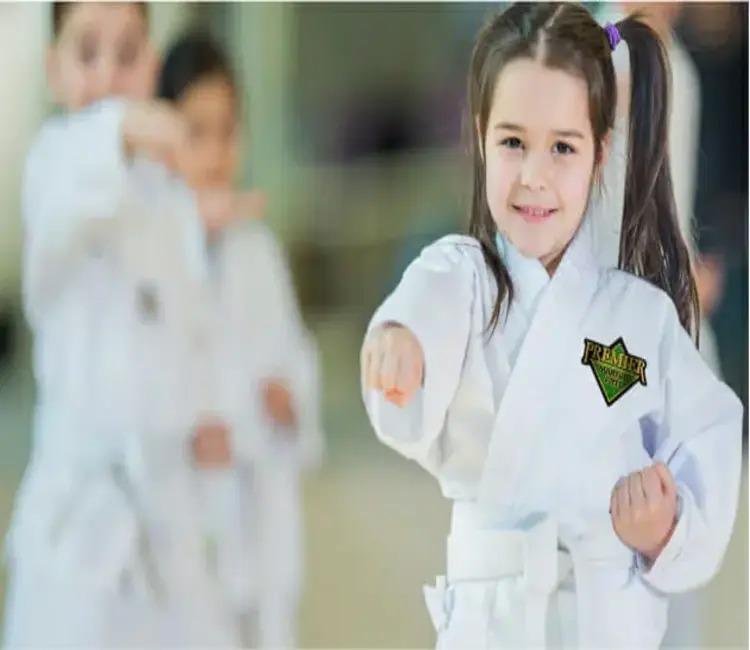PREMIER MARTIAL ARTS WEST KATY FULSHEAR Updated May 2024 12