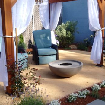 Bountiful Botanicals, Inc. - Pergola with Olive tree in the corner. - Landscaping Near Me - Oakland, California Bountiful Botanicals, Inc. - Pergola with Olive tree in the corner. - Landscaping Near Me - Oakland, California