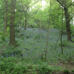 Woodhouse Ridge