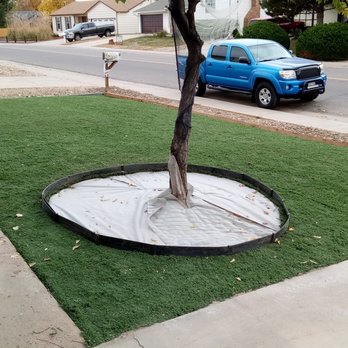 Sand Four Sale - a tree in a hole - Landscaping Near Me Sand Four Sale - a tree in a hole - Landscaping Near Me