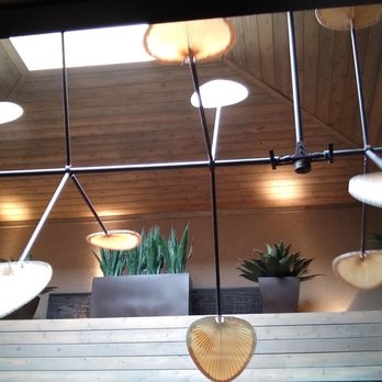 Cheddar's Scratch Kitchen - Rotating fans - American Near Me - Albuquerque, New Mexico