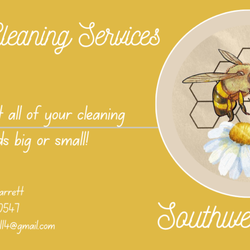 Bees Cleaning Services