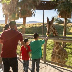 The Living Desert