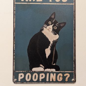 Toe Beans Cat Cafe - Animal Shelters Near Me - Port Hope, Ontario