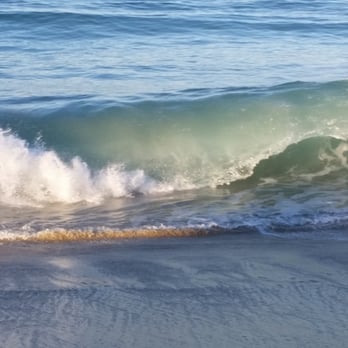 Ocean Palms Beach Resort - Steps from our front door... my wife and i agree we could live here! - Hotels Near Me - Carlsbad, California Ocean Palms Beach Resort - Steps from our front door... my wife and i agree we could live here! - Hotels Near Me - Carlsbad, California