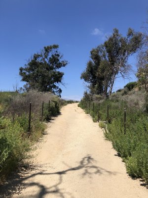 Wetlands & Wildlife Care Center by null