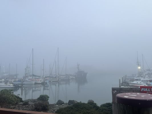 Café Marina & Woodley's Bar by null