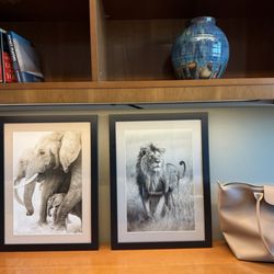 The Framing Corner - Custom Picture Framing - My two framed photos.