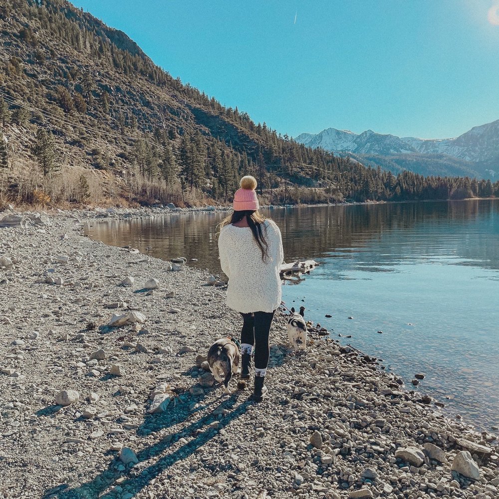June Lake Beach - Beaches Near Me - June Lake, California