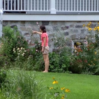 Kamen Tree & Turf - We offer both traditional and organic programs for improving the health and appearance of your lawn, trees and shrubs. - Tree Services Near Me - Stamford, Connecticut Kamen Tree & Turf - We offer both traditional and organic programs for improving the health and appearance of your lawn, trees and shrubs. - Tree Services Near Me - Stamford, Connecticut