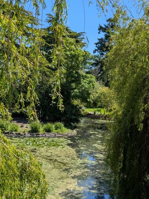Beacon Hill Park by null