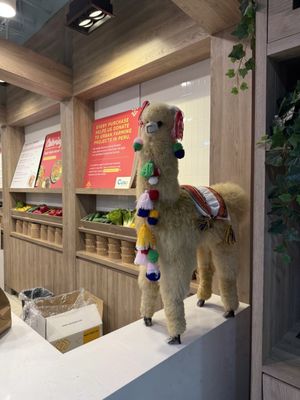 First Canadian Place by null