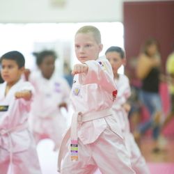 Sky Martial Arts Simi