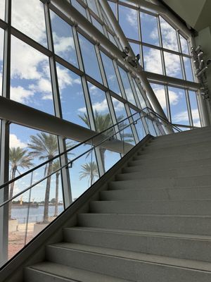 Audubon Aquarium by null