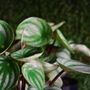 Photo of Fresh Space by Grace