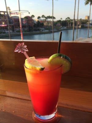 Jimmy Buffett's Margaritaville by null