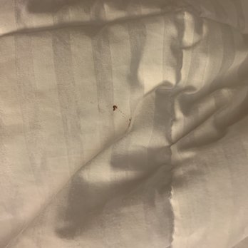 Fairfield Inn Dubuque - And some more blood - Hotels Near Me - Dubuque, Iowa Fairfield Inn Dubuque - And some more blood - Hotels Near Me - Dubuque, Iowa