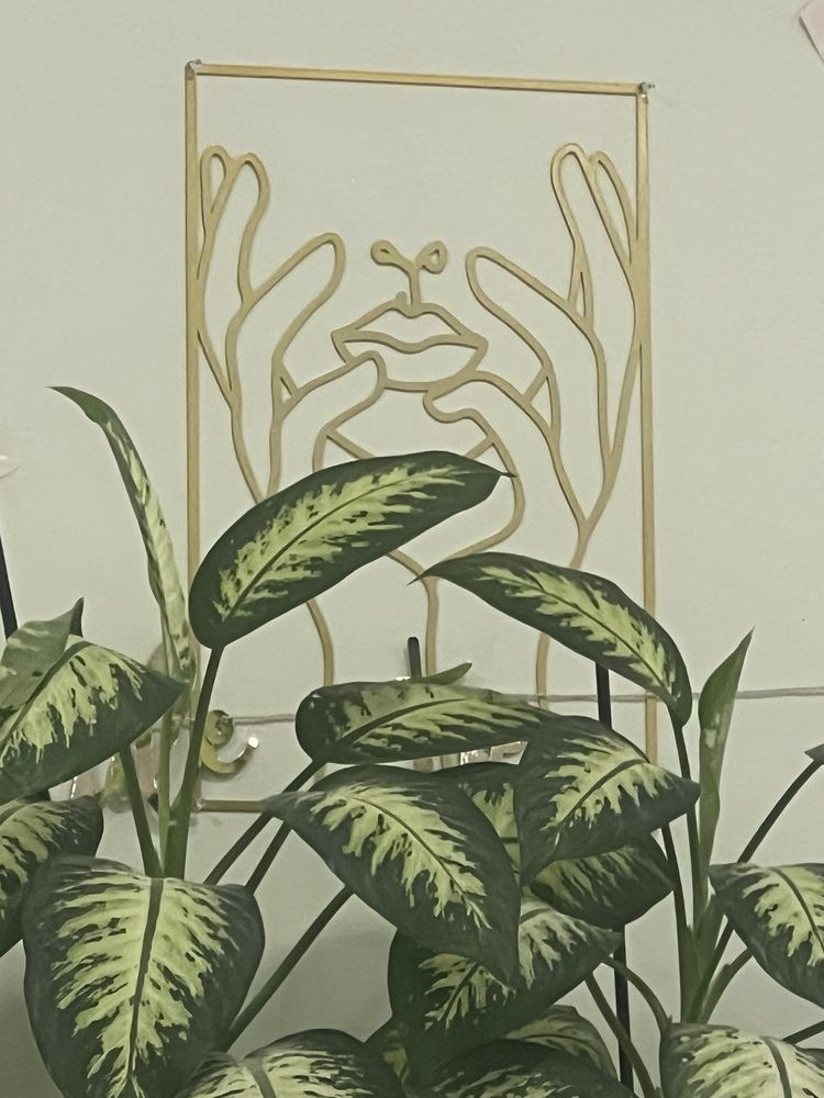 Sandfly Nails & Spa Logo