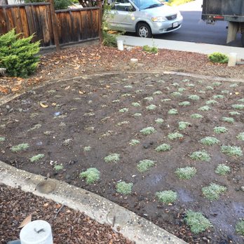 Shubha Landscape Design - Landscaping Near Me - Santa Clara, California Shubha Landscape Design - Landscaping Near Me - Santa Clara, California