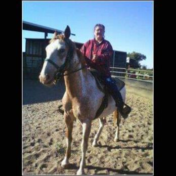 Revealing Touch Therapy - Horse - Massage Near Me Revealing Touch Therapy - Horse - Massage Near Me