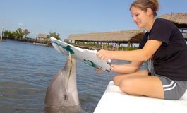 Dolphin Research Center by null