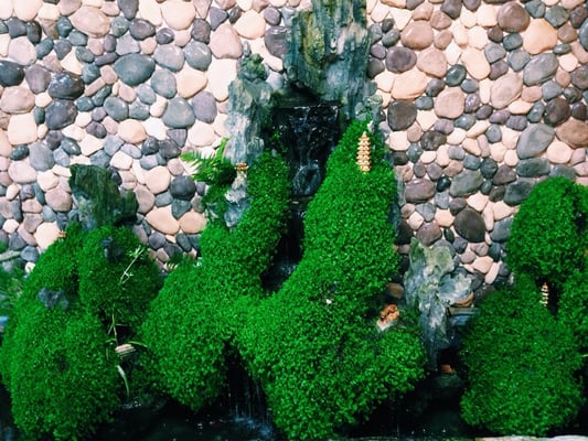 Try It Out Restaurant by null