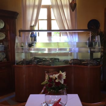 La Torre del Mirador - One of the aquariums - Spanish Near Me - La Caleta, TF La Torre del Mirador - One of the aquariums - Spanish Near Me - La Caleta, TF