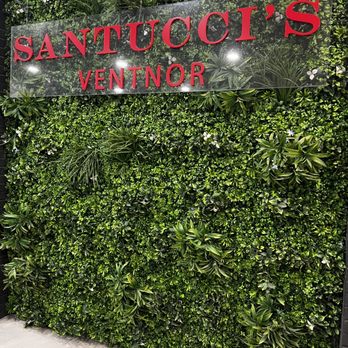 Santucci's Original Square Pizza - Photo op or plant wall? - American Near Me - Ventnor City, New Jersey Santucci's Original Square Pizza - Photo op or plant wall? - American Near Me - Ventnor City, New Jersey