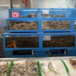 They have the Dungeness crab and lobster packed in there like sardines