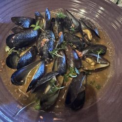 Flamant - Mussels