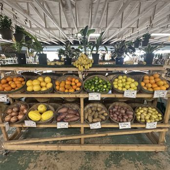 Marando Farms & Ranch - Farmers Market Near Me - Davie, Florida