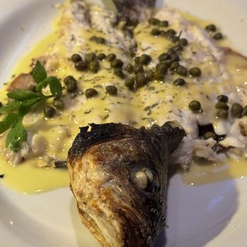 Almyra - Greek Near Me - Philadelphia, Pennsylvania