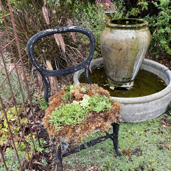 Cambria Nursery and Florist - An old chair has been transformed into a living planter. - Nurseries & Gardening Near Me - Cambria, California Cambria Nursery and Florist - An old chair has been transformed into a living planter. - Nurseries & Gardening Near Me - Cambria, California