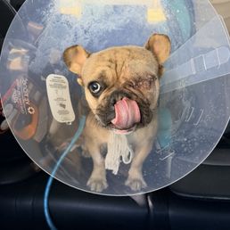 After Surgery After Surgery