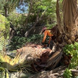 Cutting tree into sections Cutting tree into sections