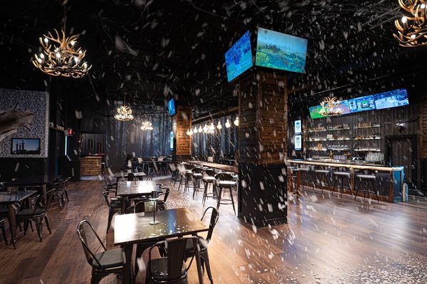 Skol Brewing Company by null