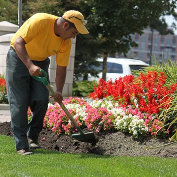 The Grounds Guys - a man digging a flower bed - Lawn Services Near Me The Grounds Guys - a man digging a flower bed - Lawn Services Near Me