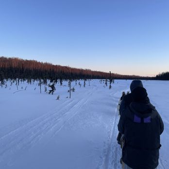 Alaskan Husky Adventures - Sledding Near Me - Willow, Alaska