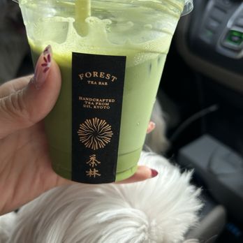 Forest Tea Bar - Uji matcha latte - Tea Rooms Near Me - Berkeley, California