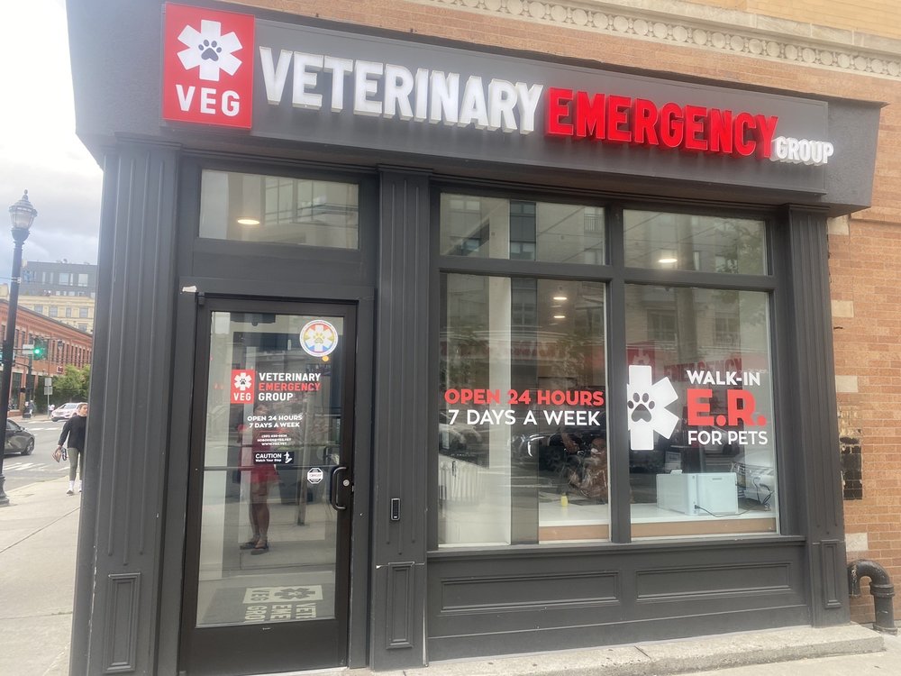 VETERINARY EMERGENCY GROUP 36 Photos & 79 Reviews 1327 Willow Ave, Hoboken, New Jersey