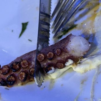 Mikonos Restaurant - Tentacle - Greek Near Me - Ewing, New Jersey