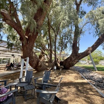 Joe's Farm Grill - The old trees on this property are AMAZING!!!! - American Near Me - Gilbert, Arizona Joe's Farm Grill - The old trees on this property are AMAZING!!!! - American Near Me - Gilbert, Arizona