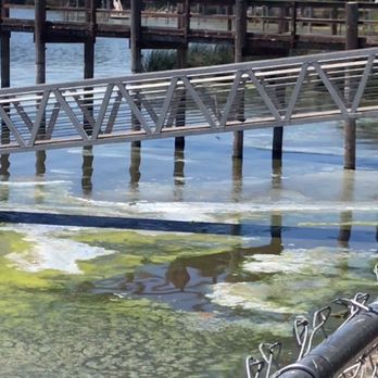 Clear Lake - the real clearlake - Lakes Near Me Clear Lake - the real clearlake - Lakes Near Me