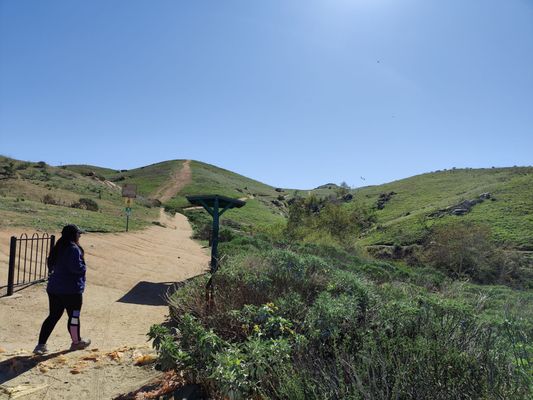 Sycamore Canyon Wilderness Park by null