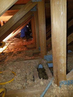 RUSTY’S EXTERMINATORS - Updated May 2026 - 42 Photos - Fort Lauderdale ...