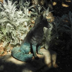 Third Street Creek Park - California Grey Fox statue
