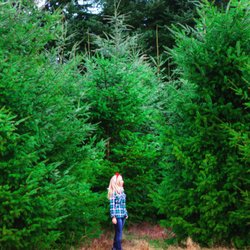 Green Acres Christmas Tree Farm