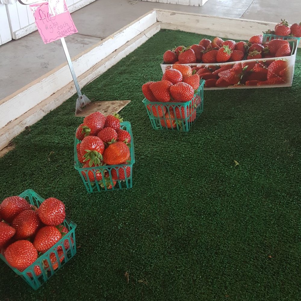 DePalma Farms - Strawberries - Farmers Market Near Me - Ripon, California DePalma Farms - Strawberries - Farmers Market Near Me - Ripon, California