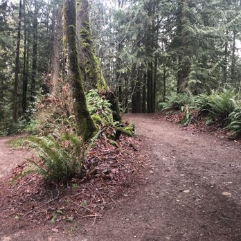TM Dog Training - Trails in the training facility, perfect for exploring and introduction to trail walking. - Pet Training Near Me TM Dog Training - Trails in the training facility, perfect for exploring and introduction to trail walking. - Pet Training Near Me
