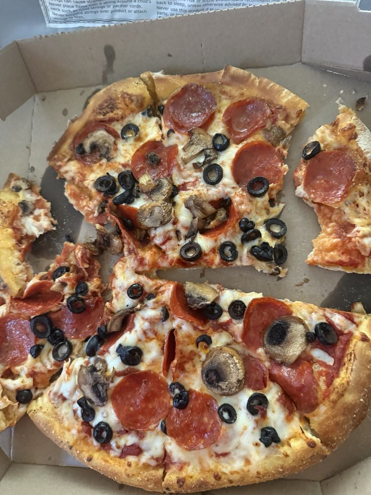 Domino's Pizza Logo